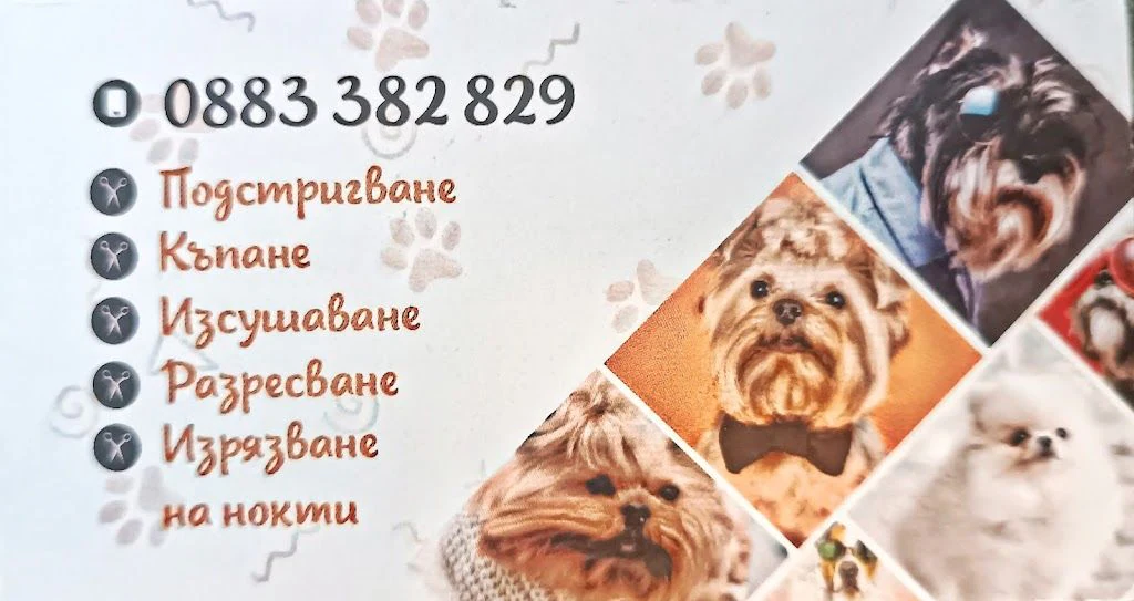 Груминг салон "Bella's groom room" — фото 3