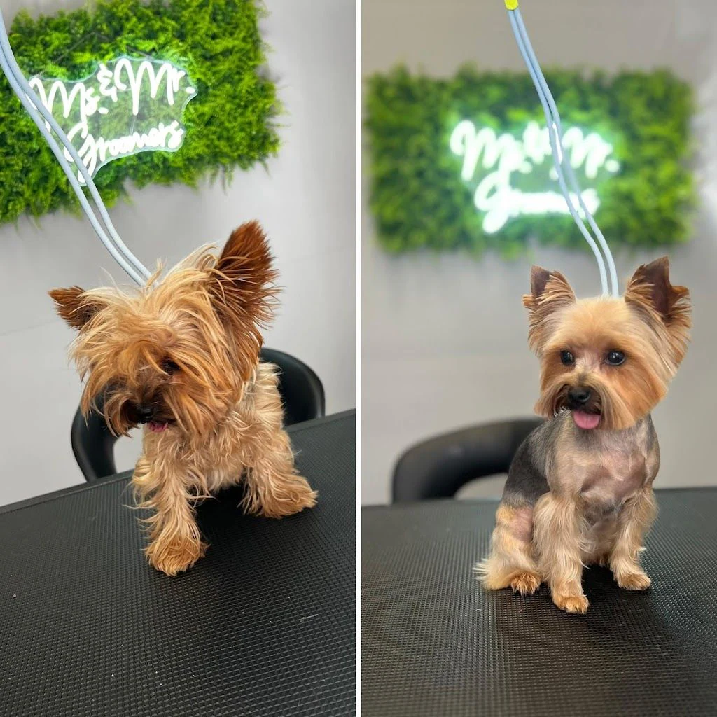 Груминг салон "Ms. & Mr. Groomers" — фото 4