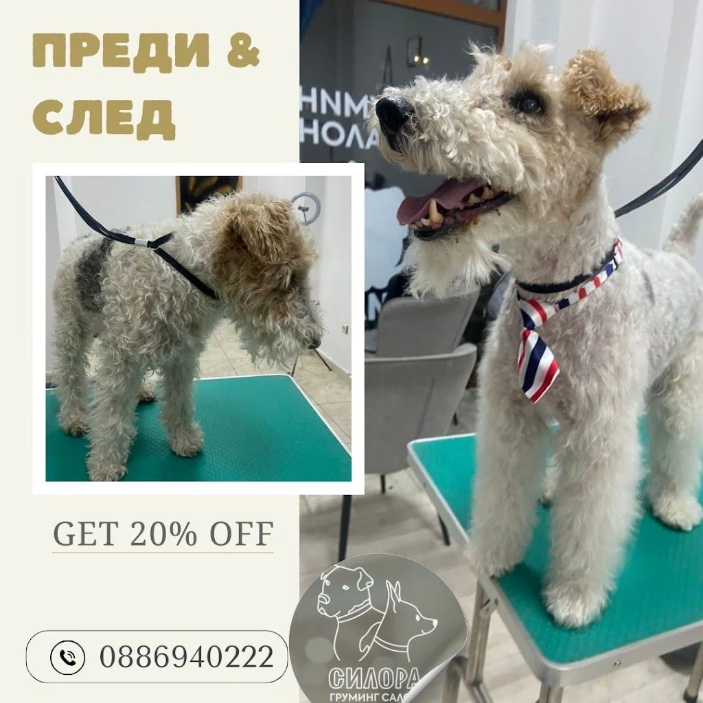 Груминг Салон "Силора" — фото 3