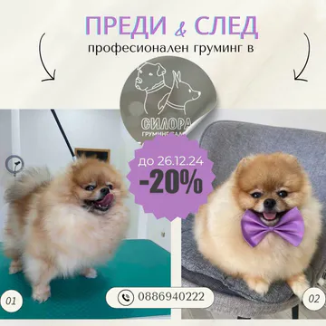 Фото бізнесу Груминг Салон "Силора"