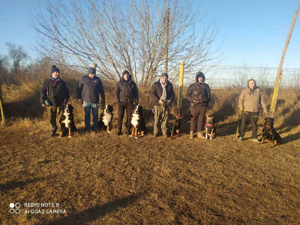 Школа службового собаківництва "Міжнародної поліцейської корпорації цивільної безпеки" — фото 5