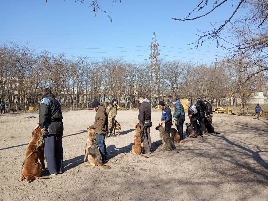 Школа службового собаківництва "Міжнародної поліцейської корпорації цивільної безпеки" — фото 3