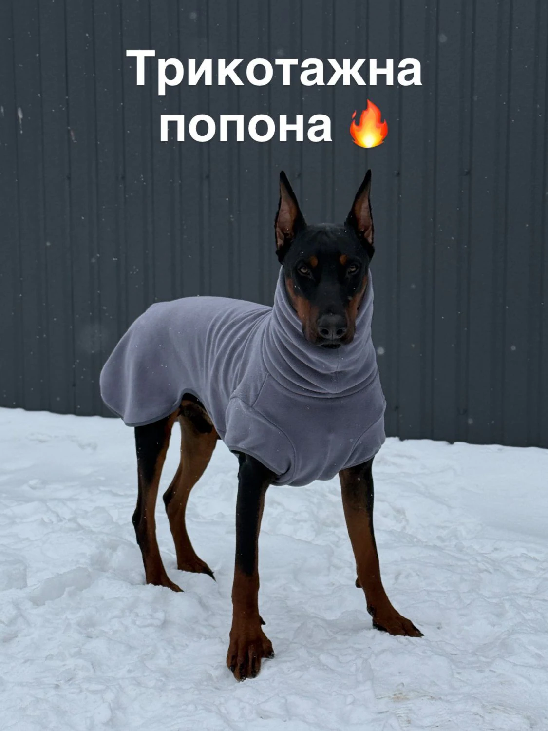 Одяг для тварин "Viktoria style" — фото 7