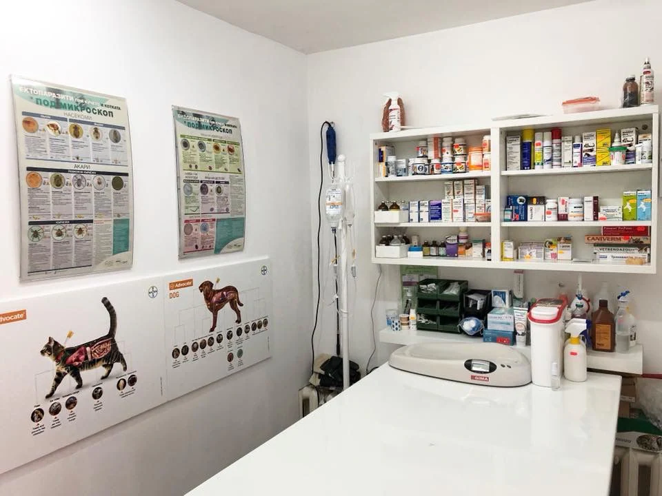 Ветеринарна клиника "NVC Vet Star clinic" — фото 4