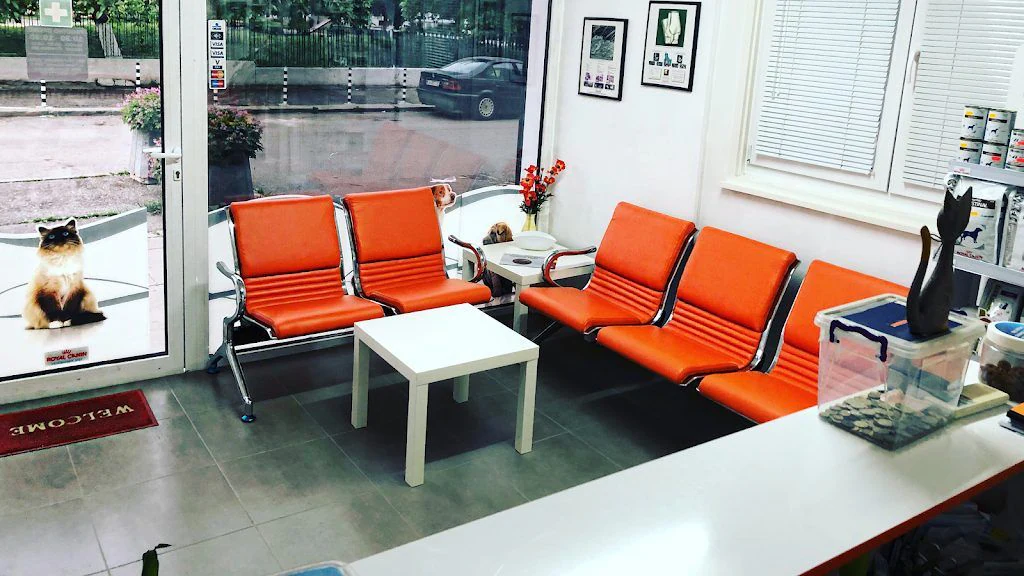 Ветеринарна клиника "NVC Vet Star clinic" — фото 3