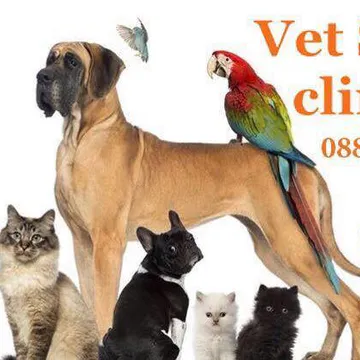 Фото бізнесу Ветеринарна клиника "NVC Vet Star clinic"