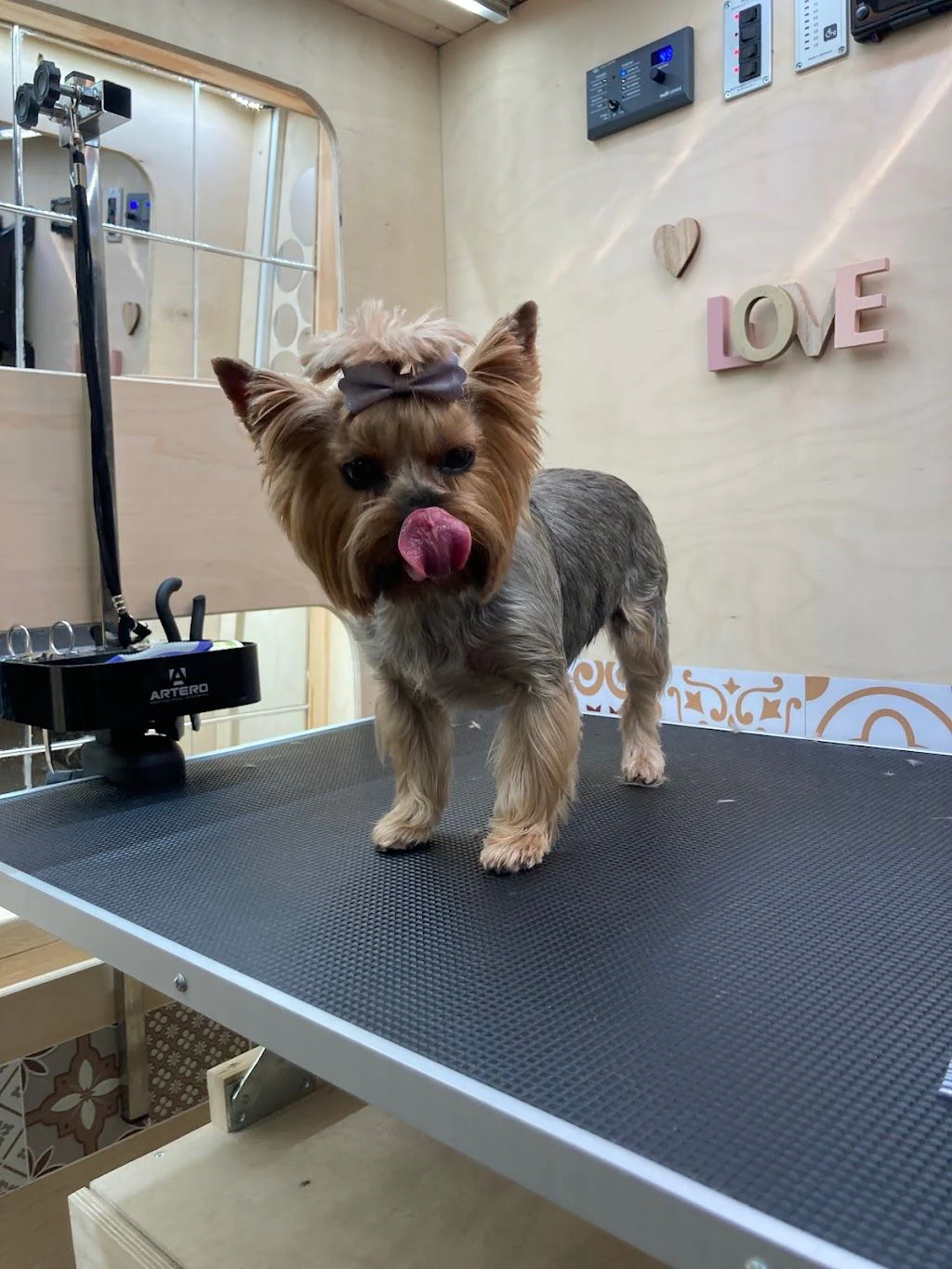 Груминг салон "Paw-Paw Grooming Salon On Wheels" — фото 3