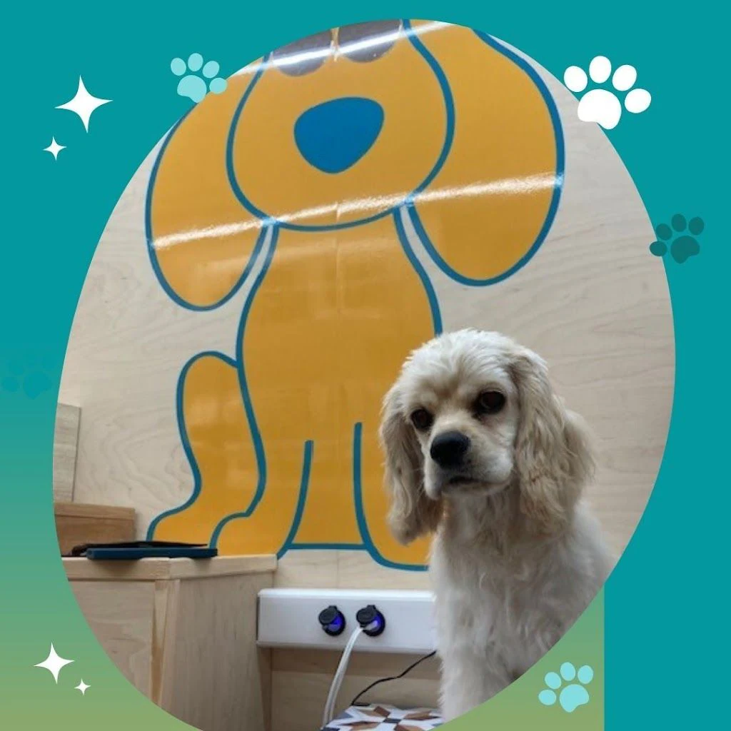 Груминг салон "Paw-Paw Grooming Salon On Wheels" — фото 4