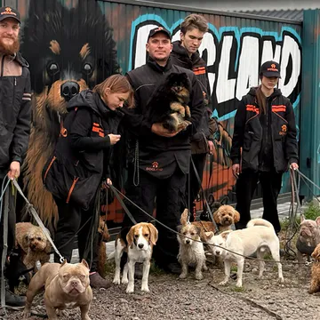 Фото бізнесу DOGLAND by Loktionov | КІНОЛОГ У КИЄВІ | ДРЕСИРУВАННЯ СОБАК КИЇВ