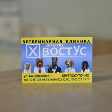 Фото бізнесу Ветеринарна клініка "Dr. HvistVus"