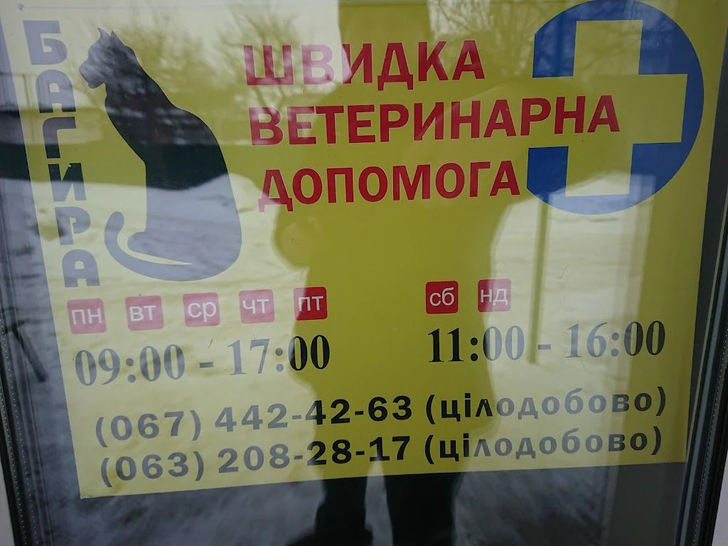 Ветеринарна клініка "Багіра" — фото 3