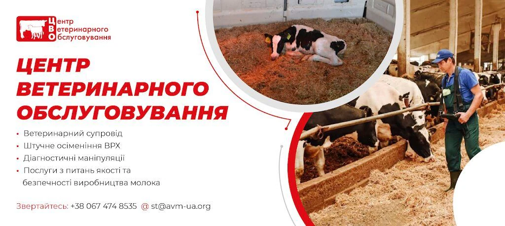 Центр ветеринарного обслуговування — фото 4