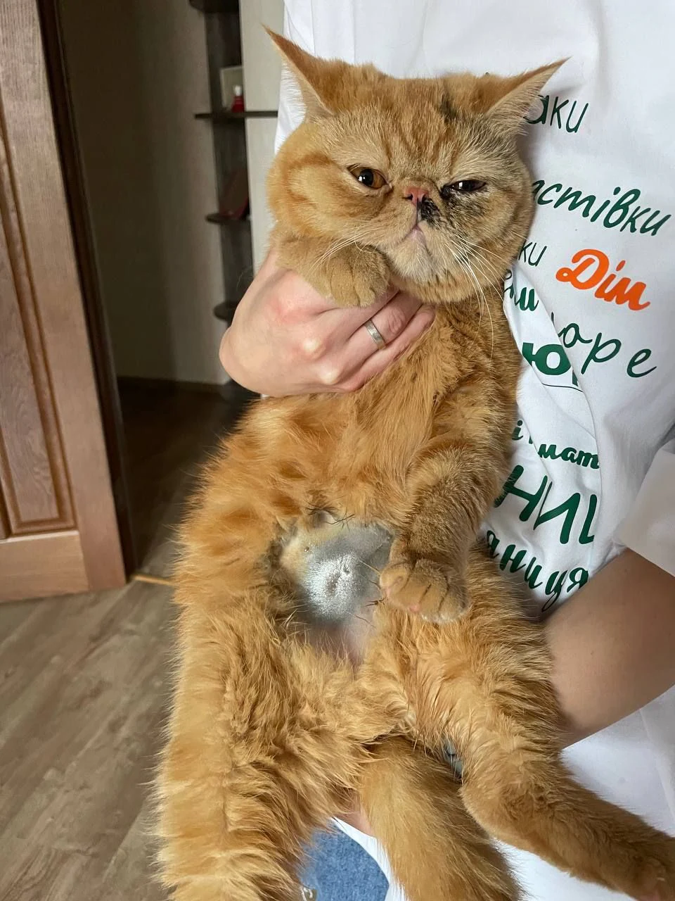 Ветеринарна клініка "ZOOЛЮКС" — фото 4