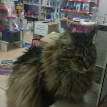 Фото бізнесу Зоомагазин "Тоби"