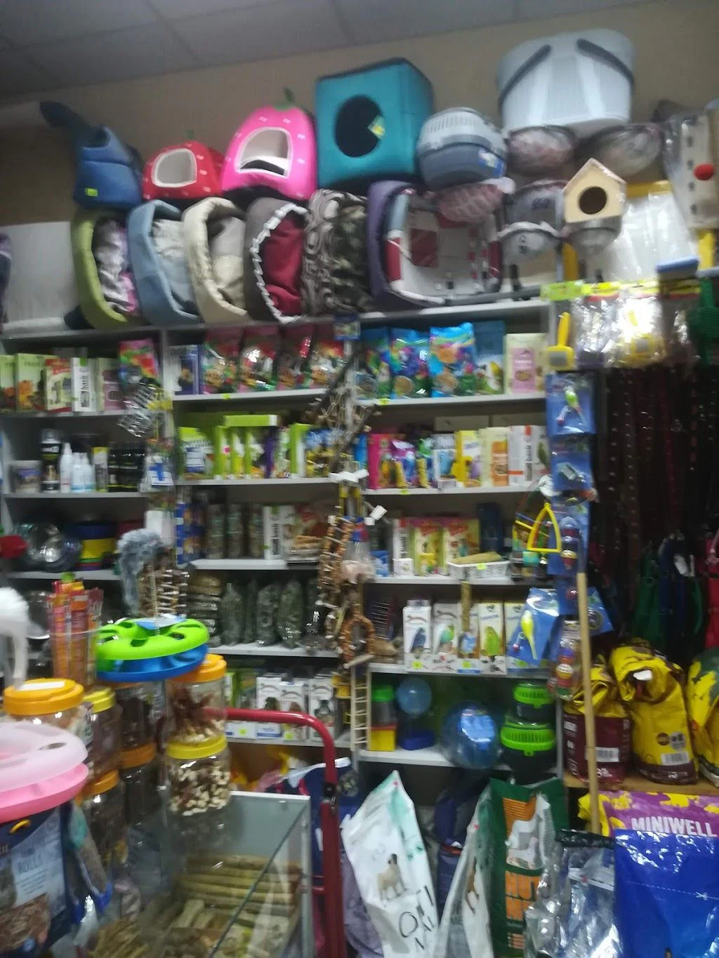 Зоомагазин "ZOO Shop" — фото 4