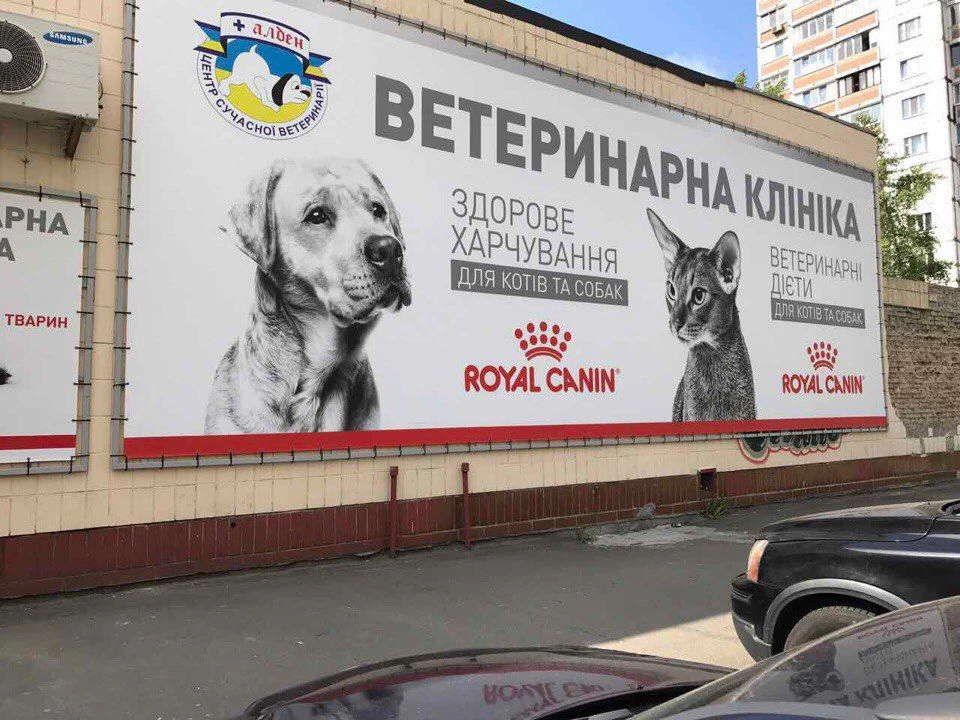 Ветеринарна клініка "Алден-Вет" — фото 3
