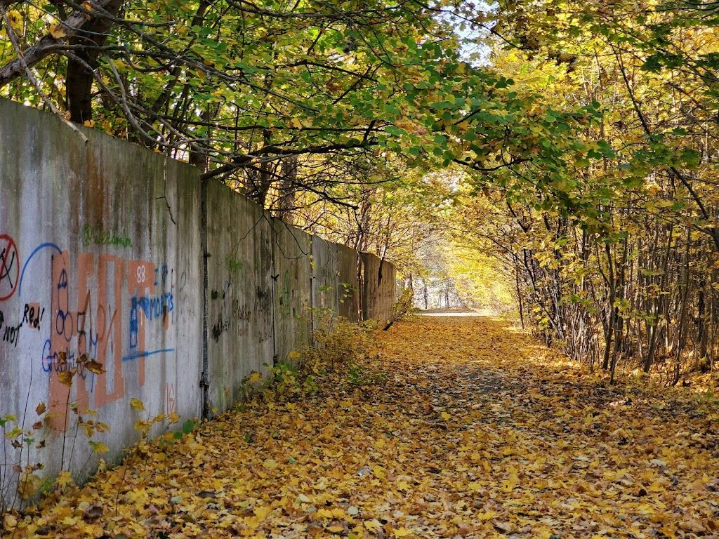 Школа охоронних собак "Арес-захід" — фото 2