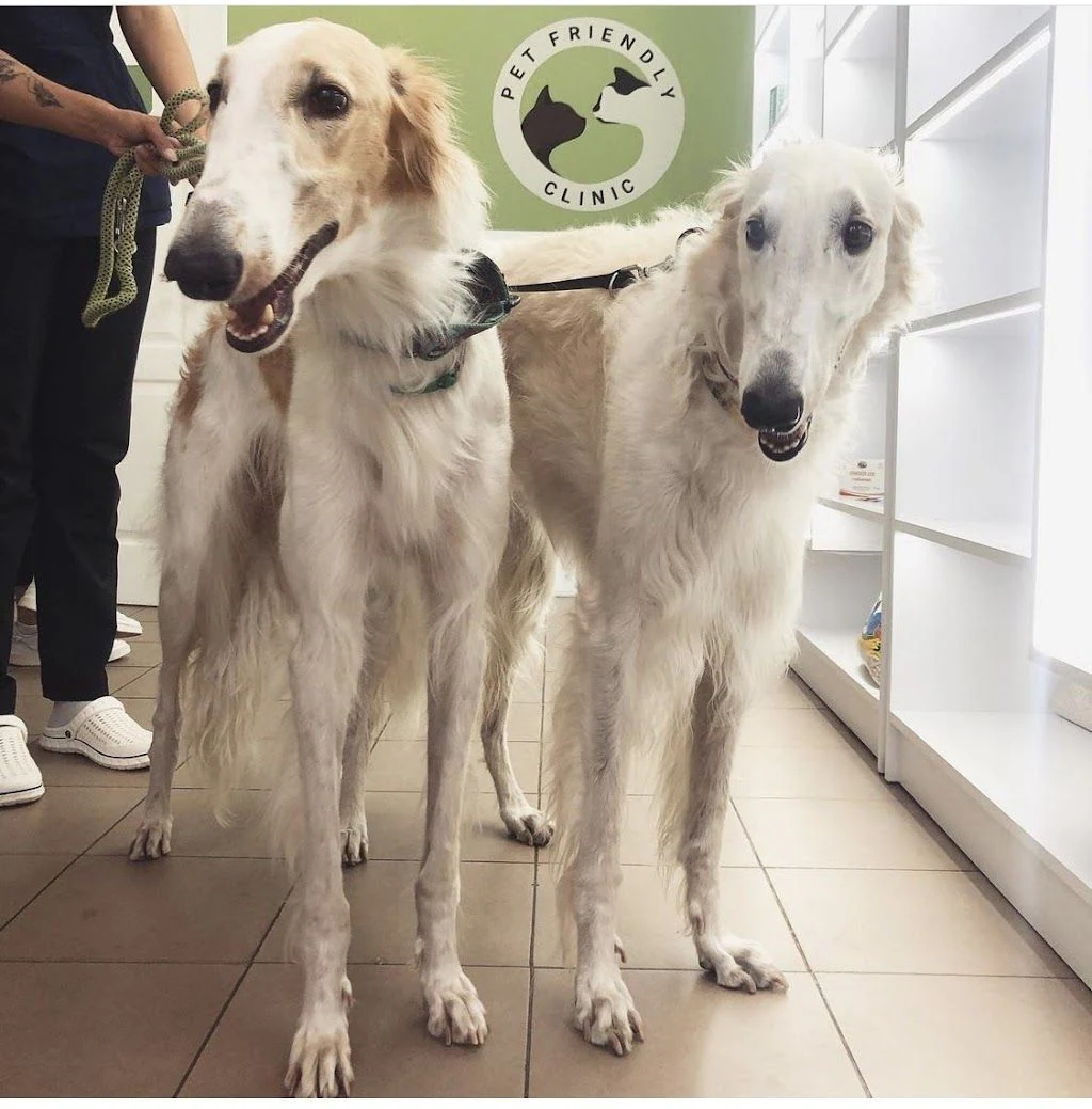 Ветеринарна клініка "Pet Friendly" — фото 2