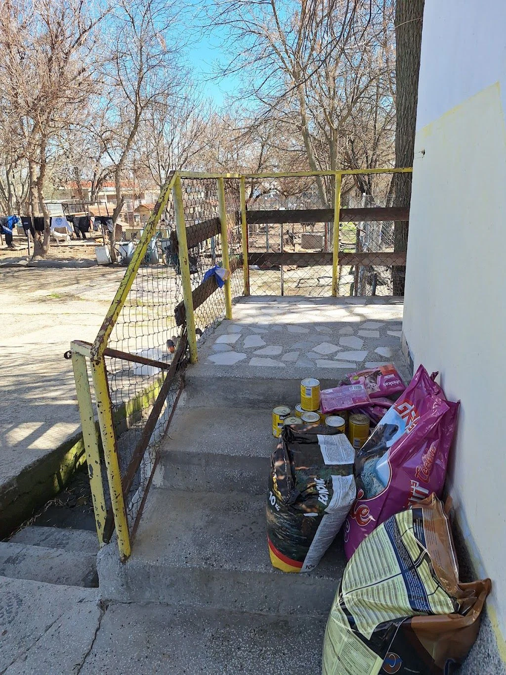 Приют за кучета Шумен — фото 3