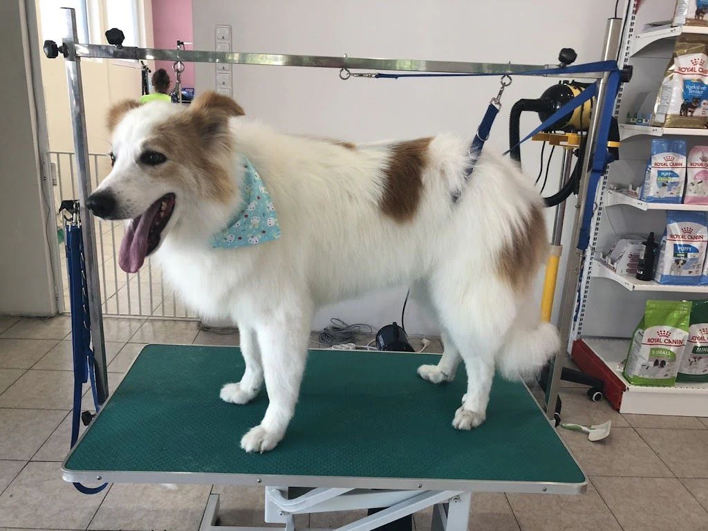 Салон за подстригване на кучета "Happy Puppies Grooming" — фото 5
