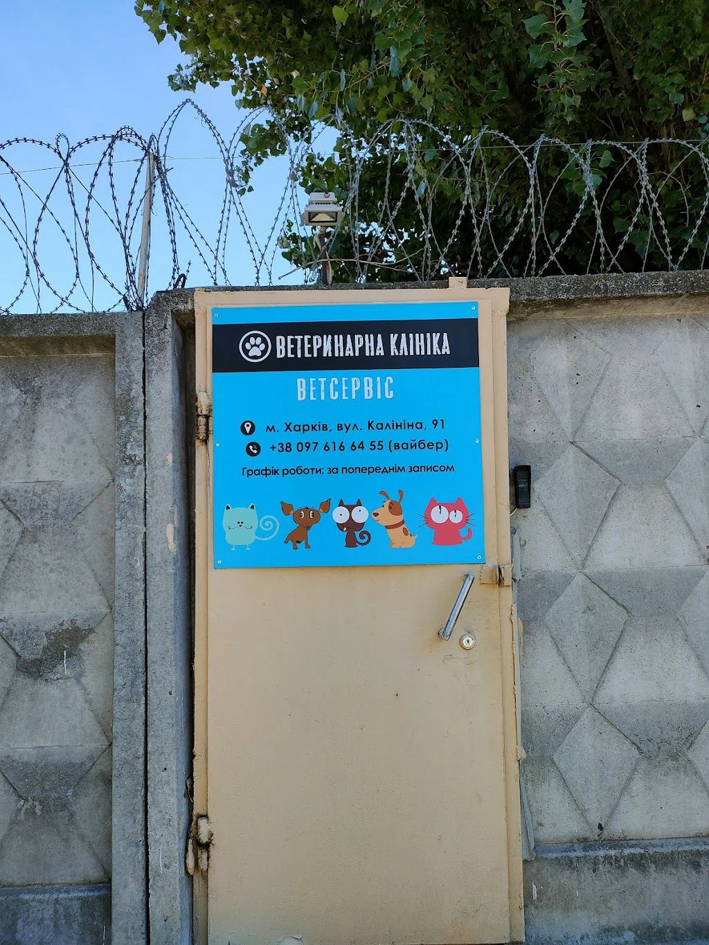 Ветеринарна клініка — фото 4