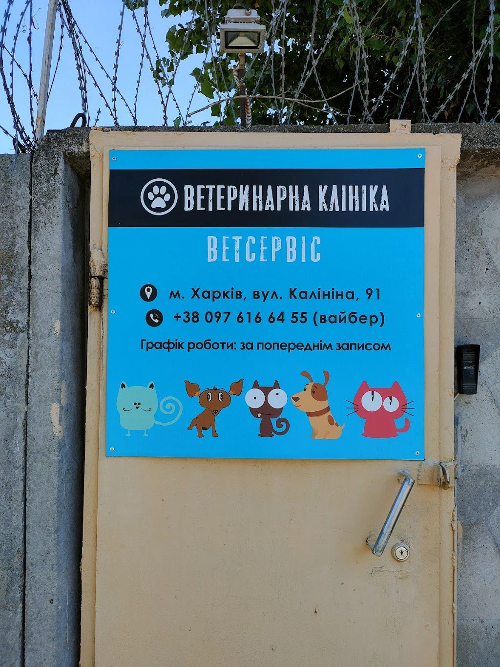 Ветеринарна клініка — фото 2