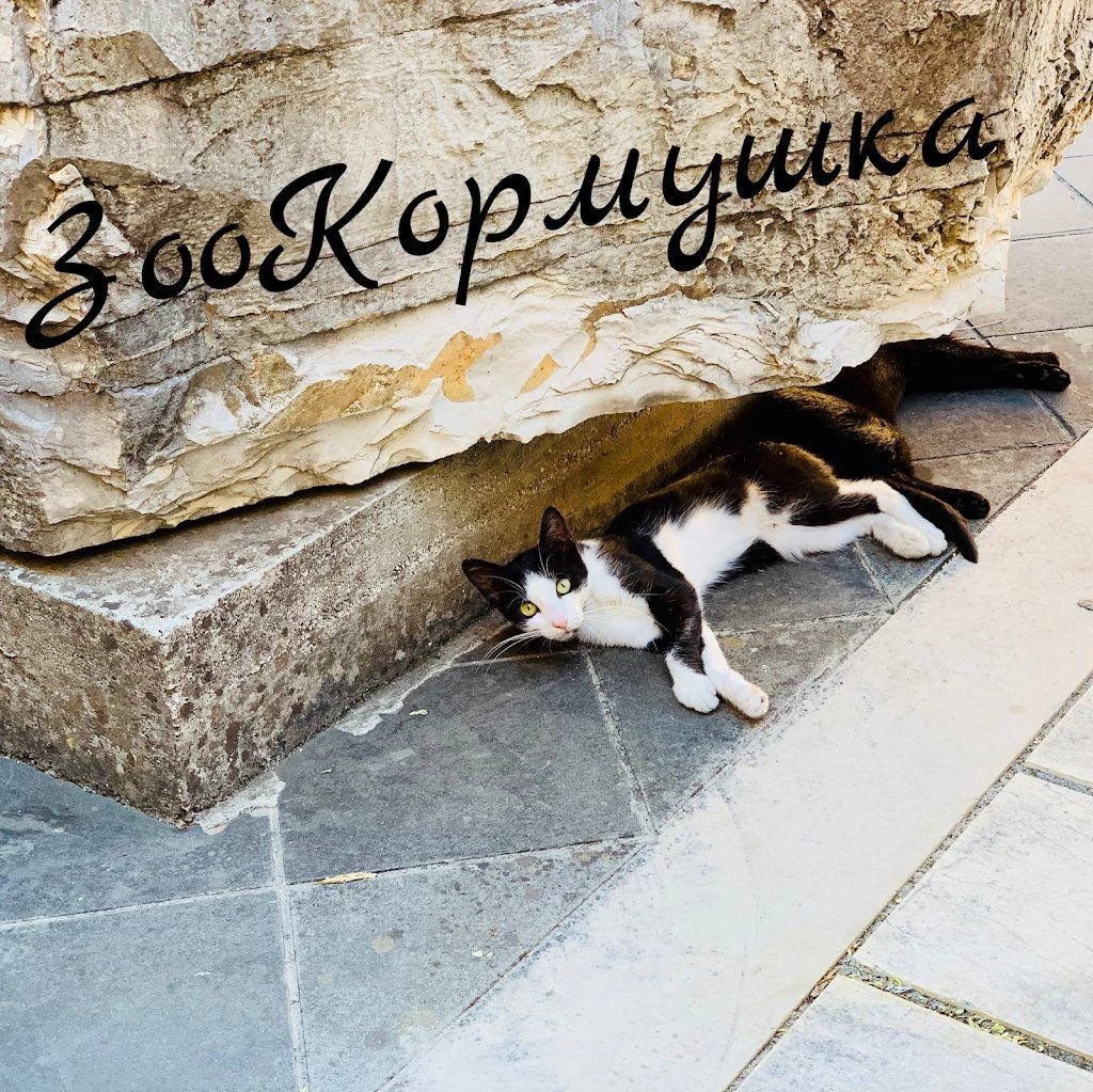 Зоомагазин "ZooКормушка" — фото 4