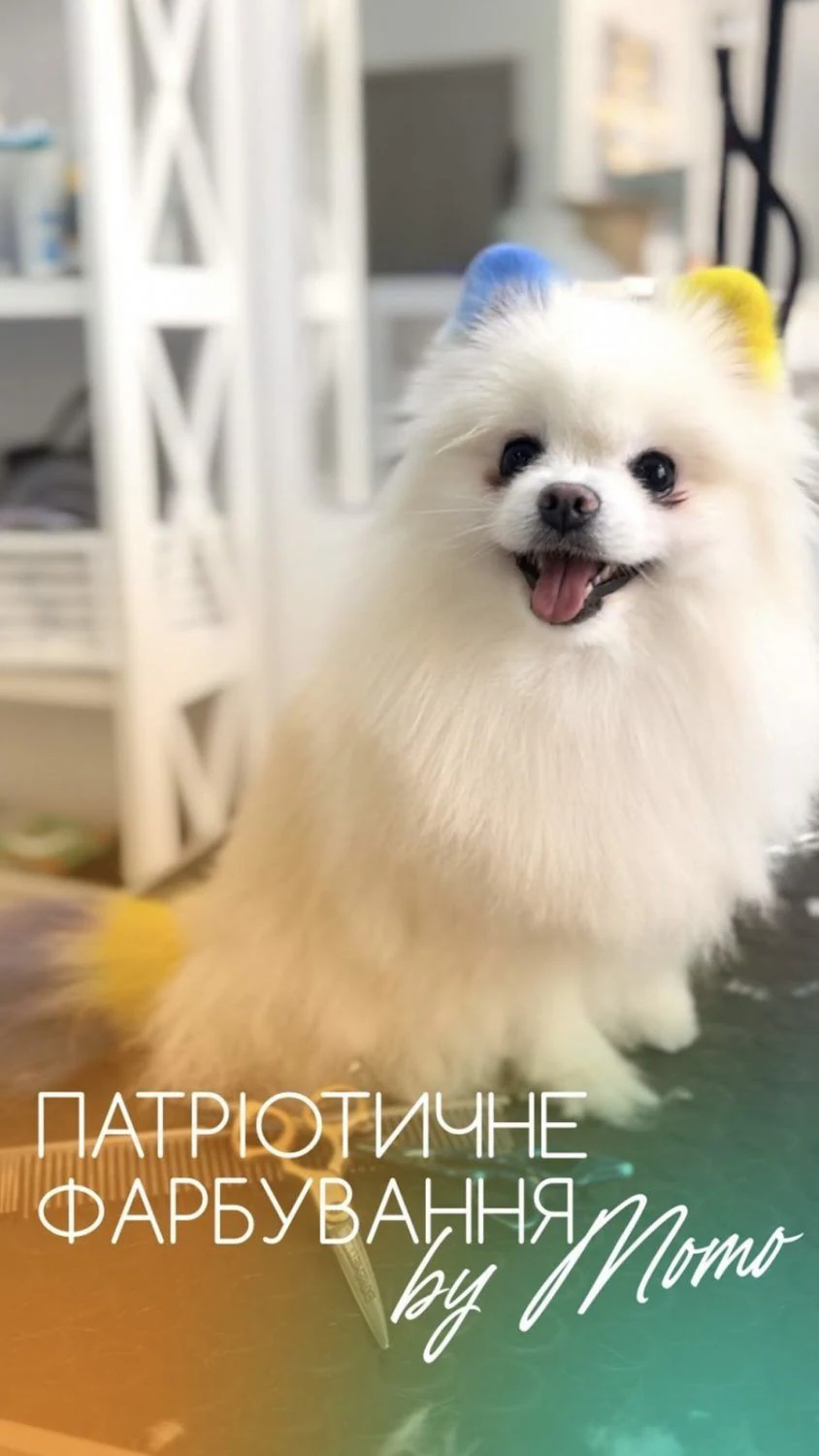 Зоосалон "У Момо" — фото 2