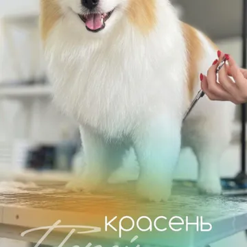 Фото бізнесу Зоосалон "У Момо"