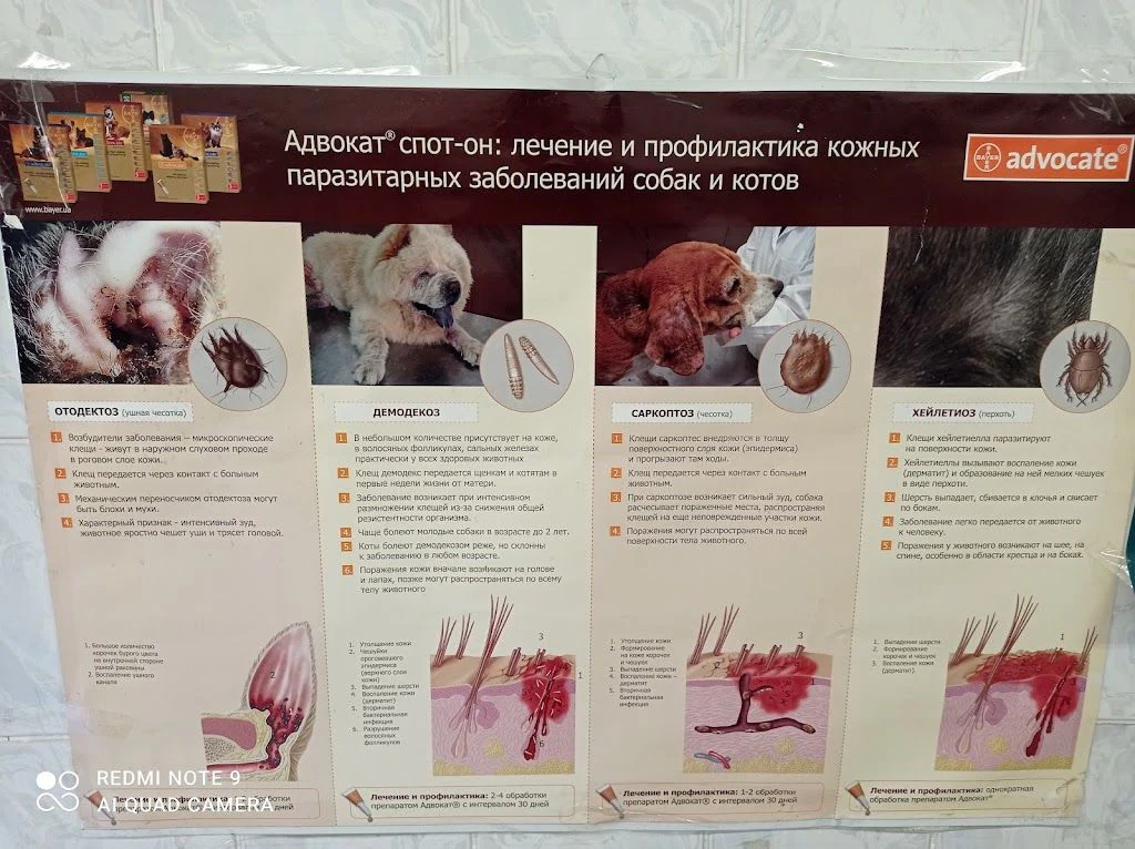 ПОЛТАВСЬКА МІСЬКА ДЕРЖАВНА ЛІКАРНЯ ВЕТЕРИНАРНОЇ МЕДИЦИНИ — фото 4