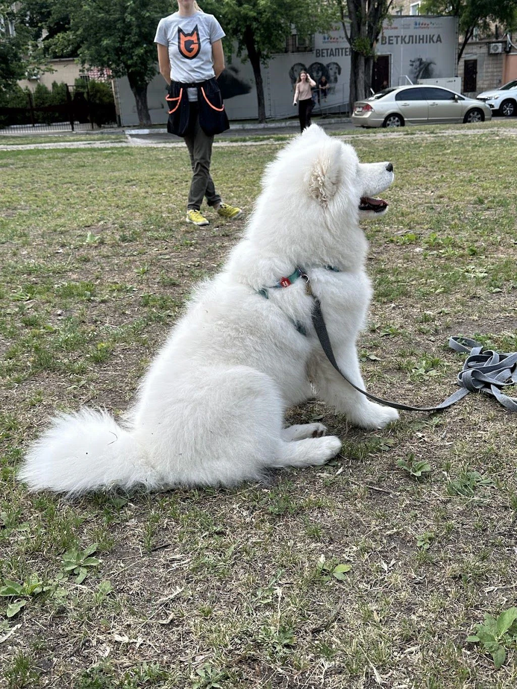 Дресирування собак "MaliGuards Club K9" — фото 2