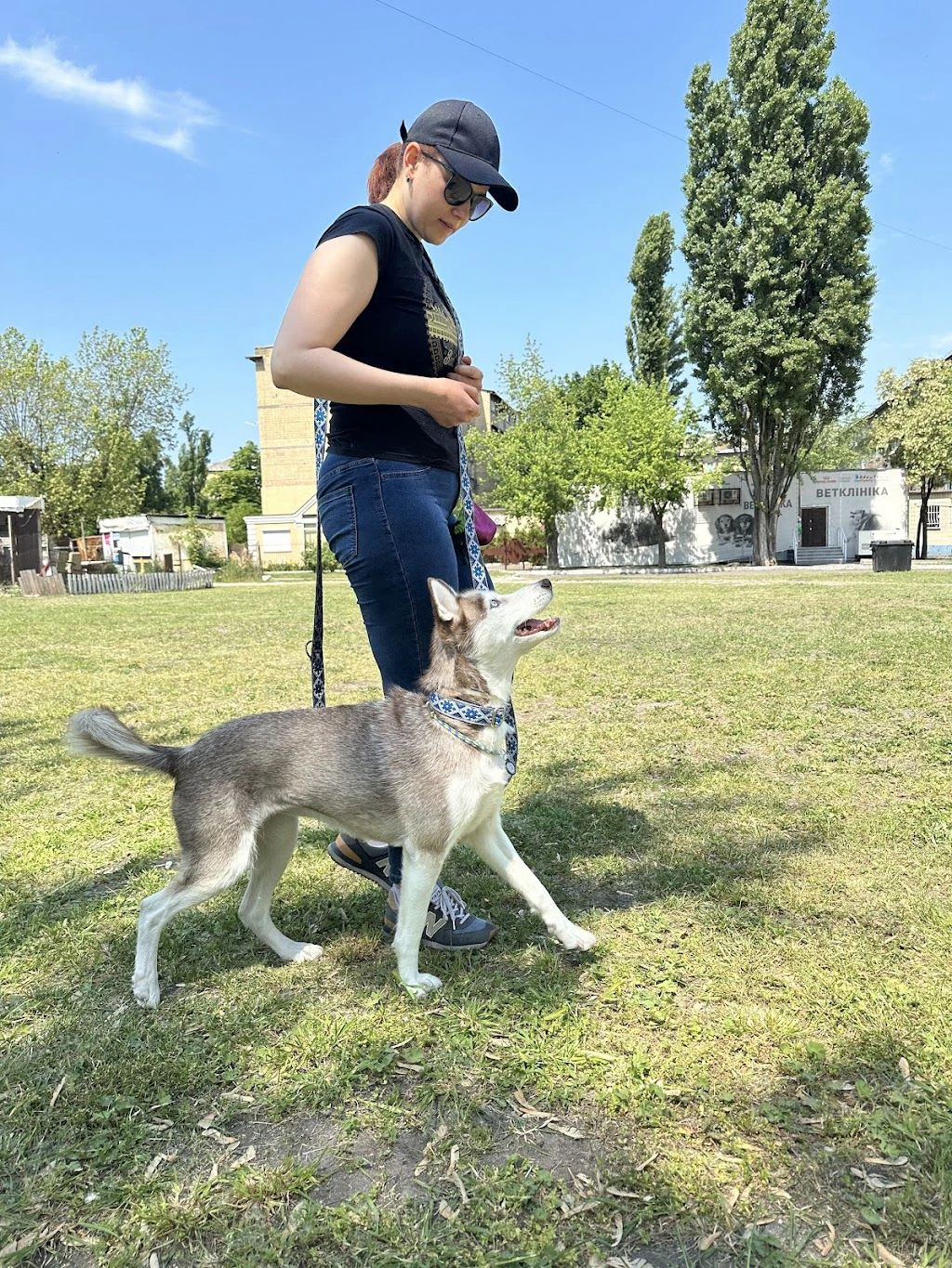 Дресирування собак "MaliGuards Club K9" — фото 3