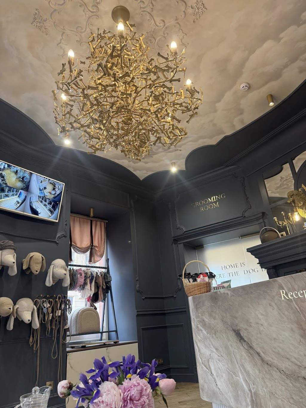 Грумінг салон "Amanda Pet’s Spa" — фото 2