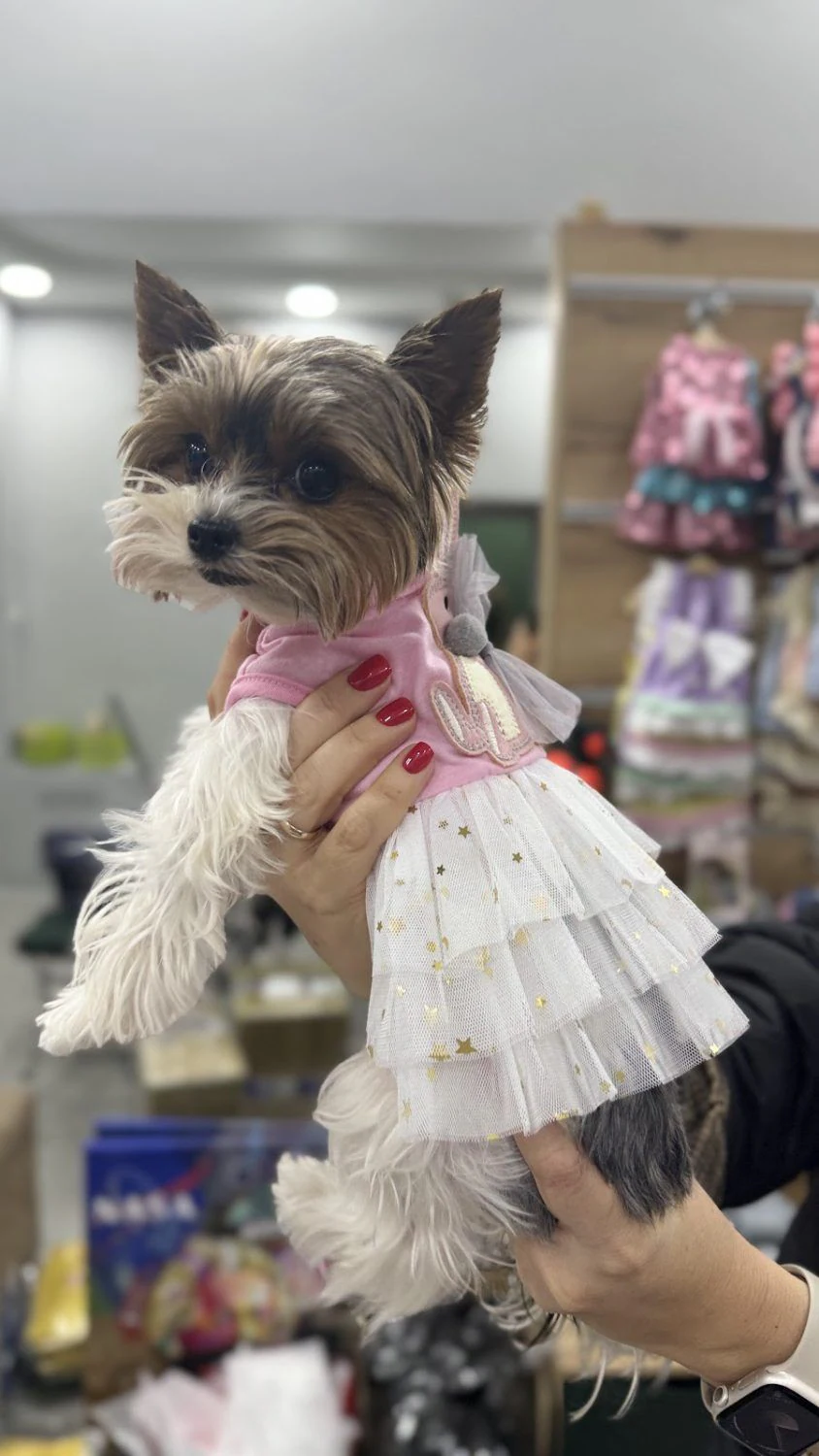 Одяг для собак "Doggy Duds" — фото 4