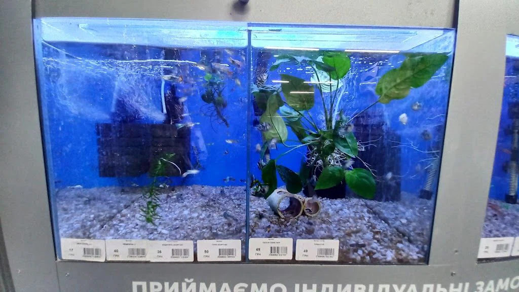 Зоомагазин "БелліZoo" — фото 4