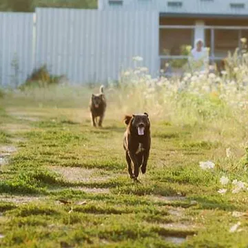 Фото бізнесу Барбос