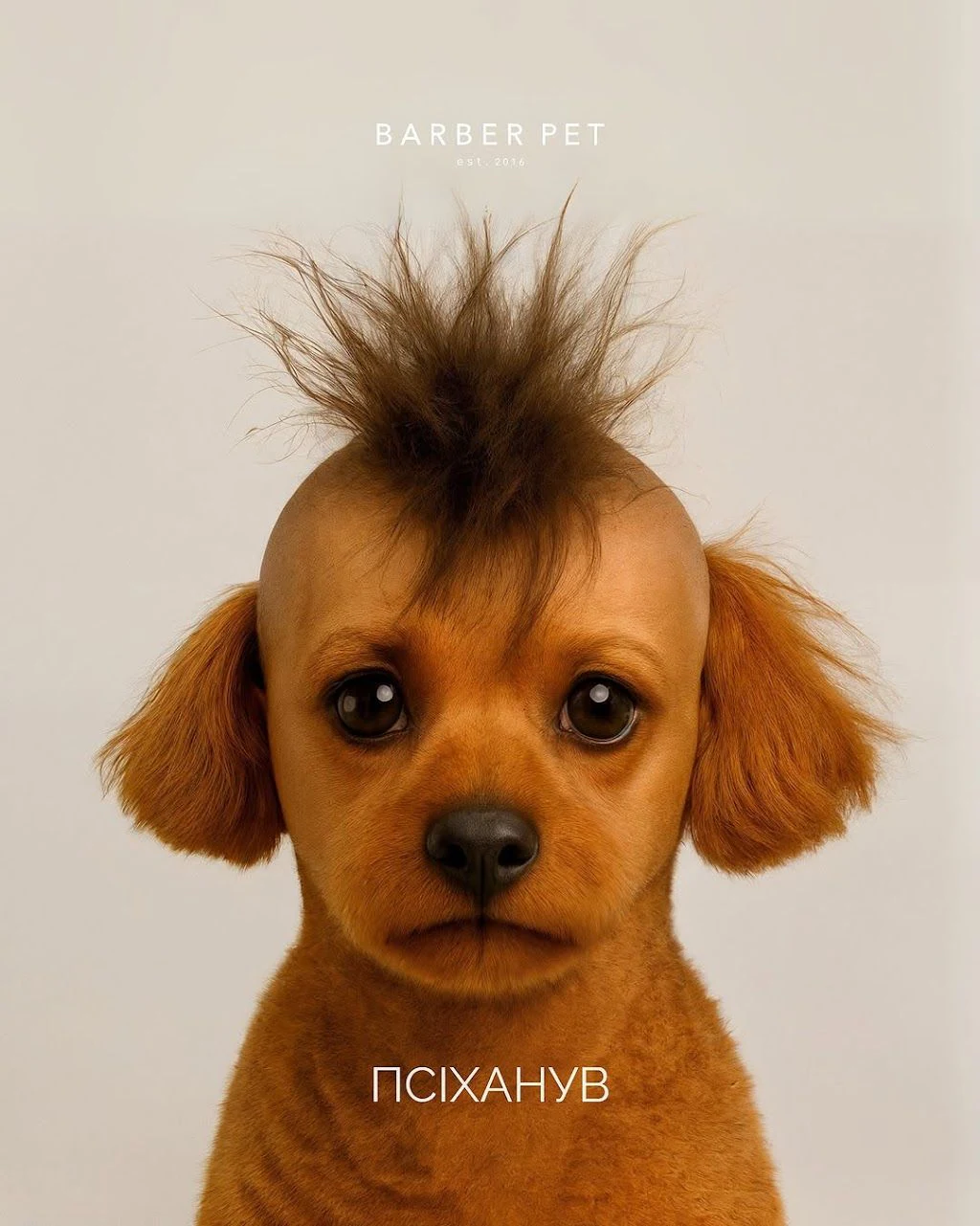 Грумінг салон “Barber Pet” — фото 2