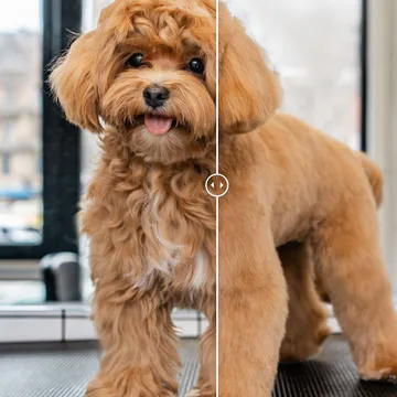 Фото бізнесу Грумінг салон “Barber Pet”