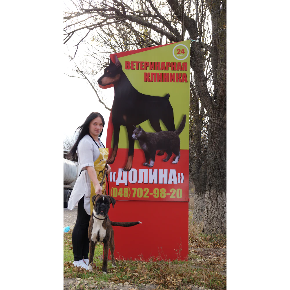 Ветеринарна клініка "Долина" — фото 5