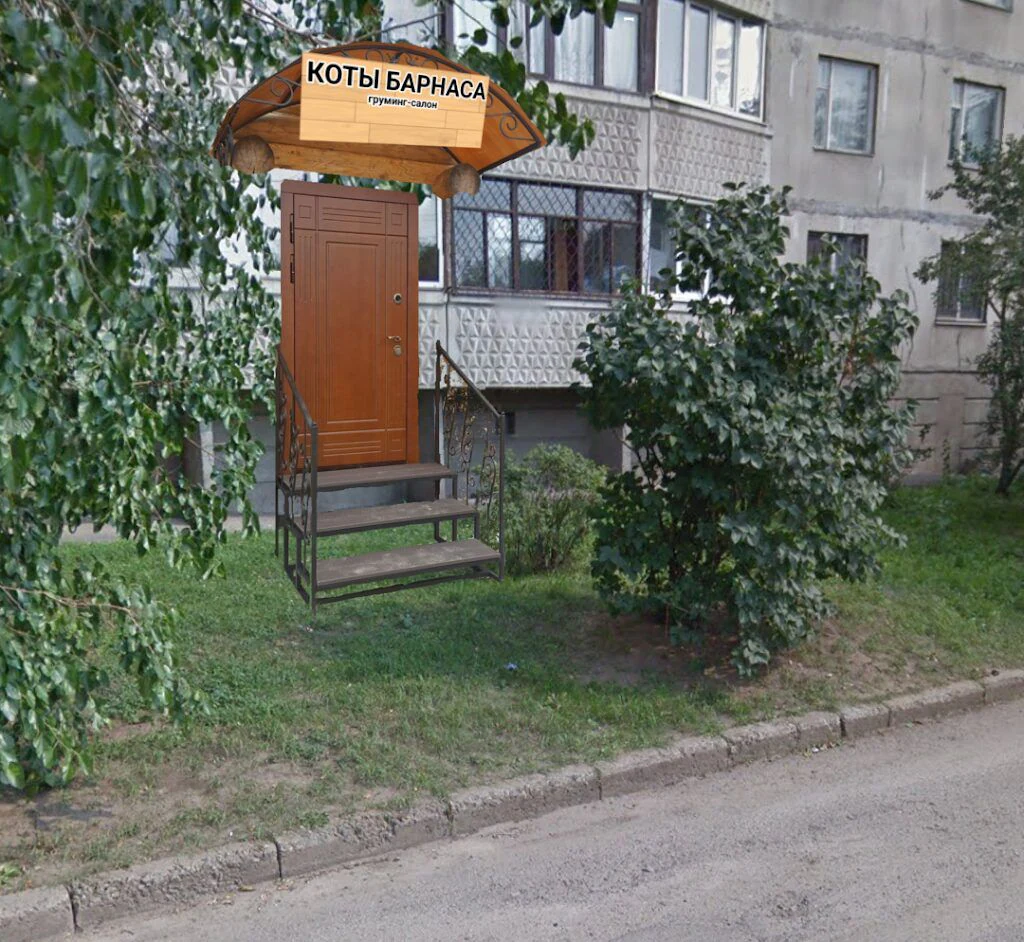 Грумінг "Коти барнаса" — фото 3