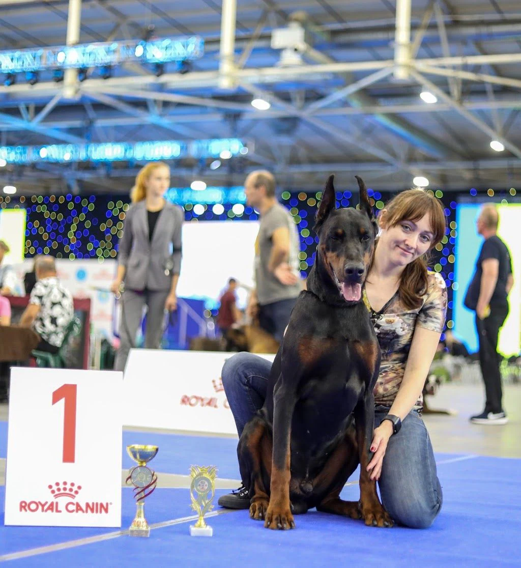 Розплідник собак "Dobermann Kennel von Lubarts Haus" — фото 4