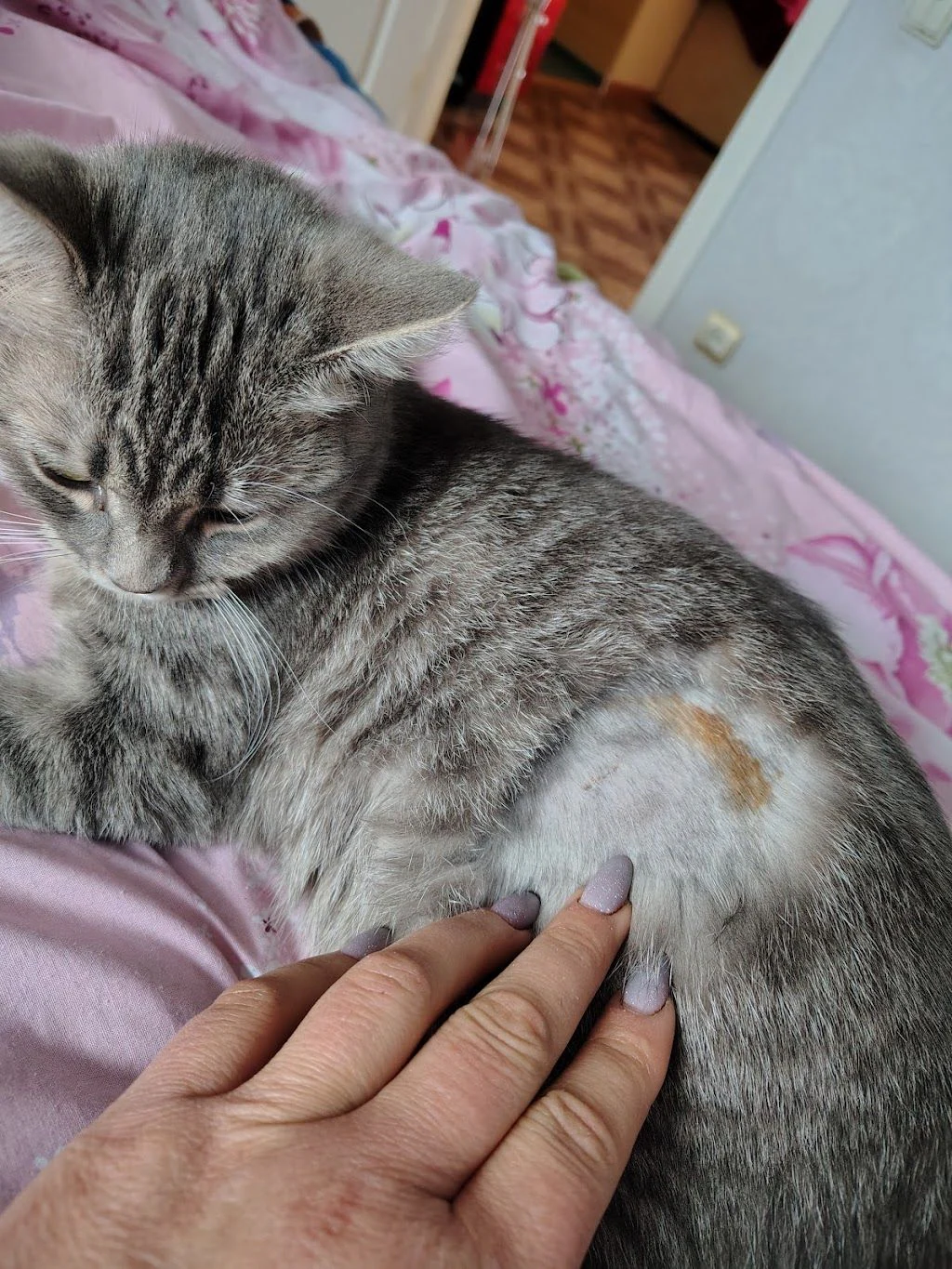 Ветеринарна клініка "Vin Vet" — фото 3