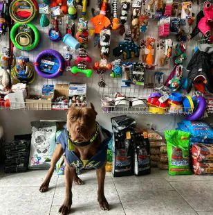 Фото бізнесу Зоомагазин "22 PETS" Одеса