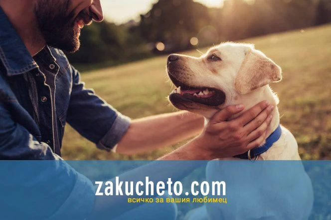 Зоомагазин "Zakucheto.com" — фото 5