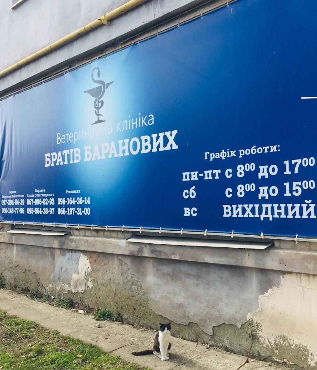 Ветеринарна клініка Братів Баранових — фото 2