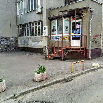 Фото бізнесу Зоомагазин "Мур-котик"
