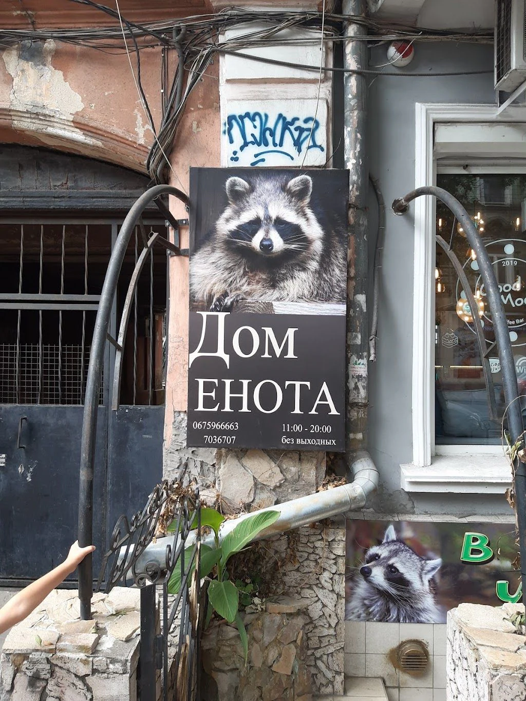 «Будинок Єнота» — фото 2