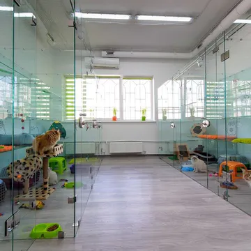 Фото бізнесу Готель для котів "МурМурчик"