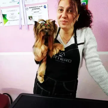 Фото бізнесу Груминг студио "The 2 Yorkies"