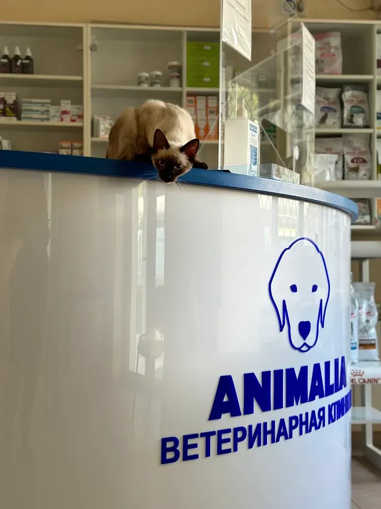 Ветеринарна клініка "ANIMALIA" — фото 9